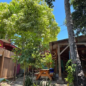 Banana Maui Vandrerhjem Wailuku